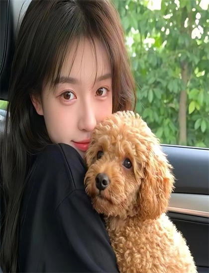 探索宫心虐的奥秘：隐藏细节与深层意义